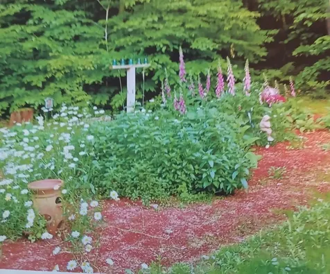 10 Foss Drive Barnstead NH 03225