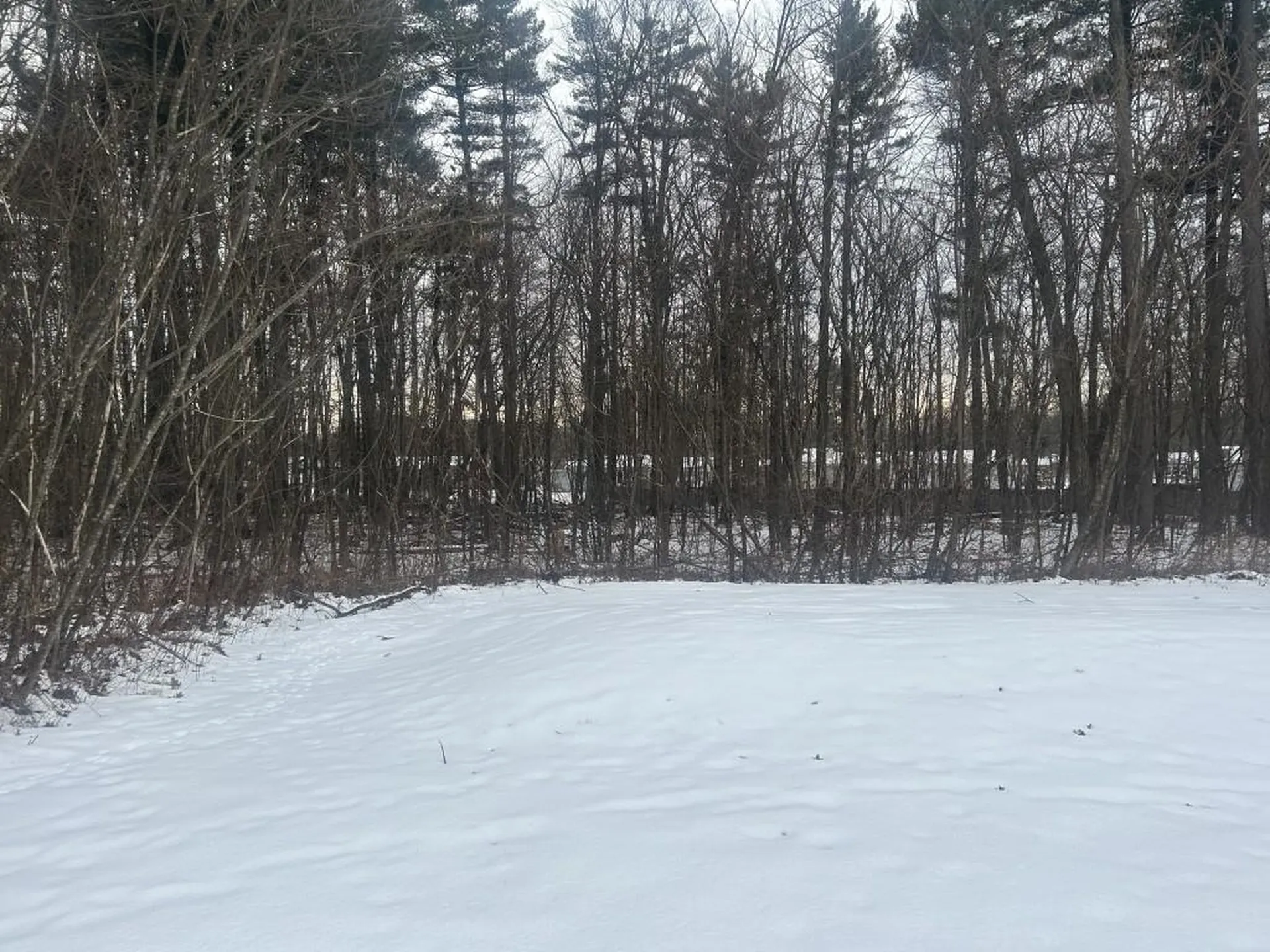 259 Holy Cross Road Colchester VT 05446