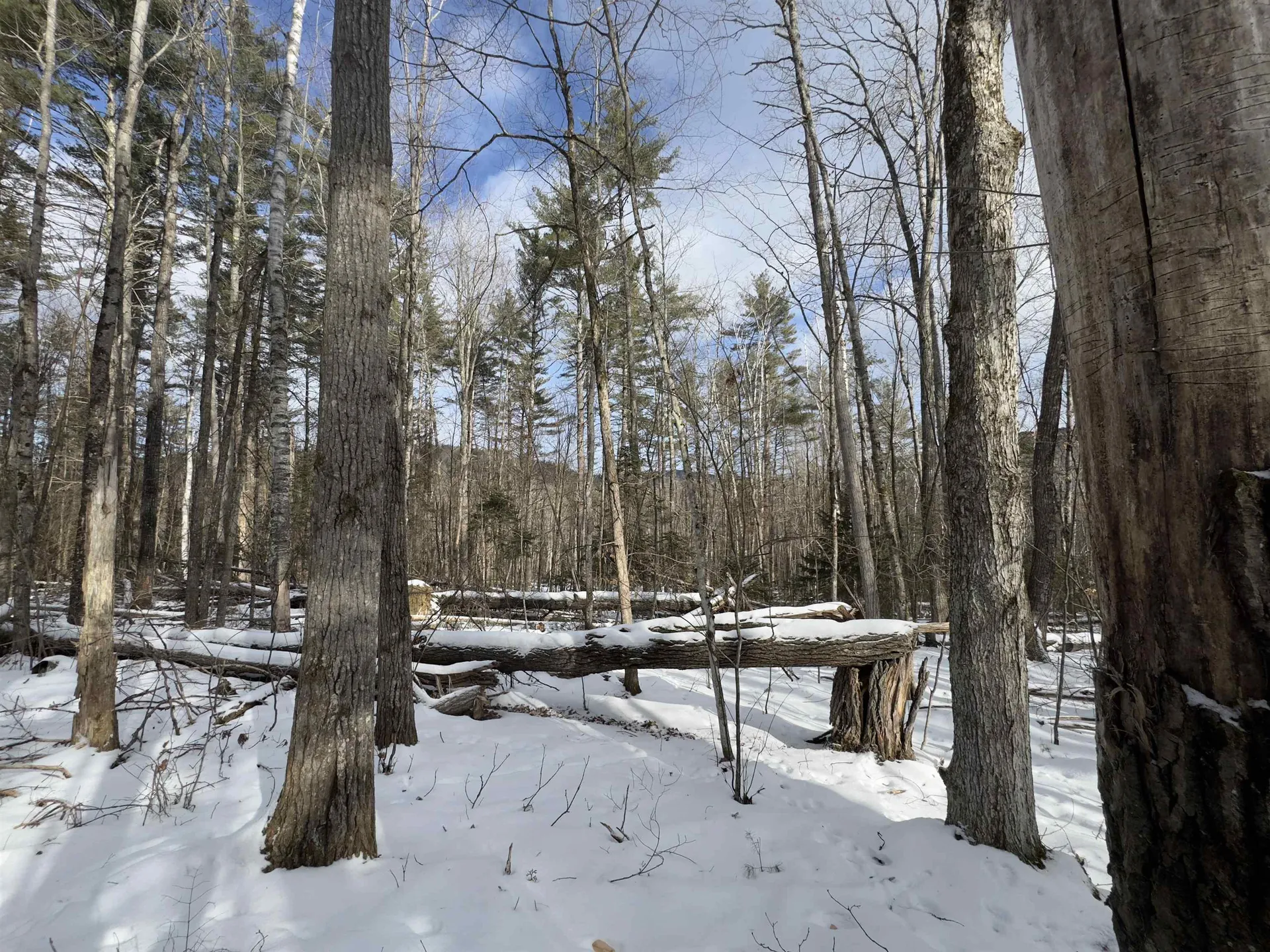 Lot 252 Skiway Terrace Haverhill NH 03765