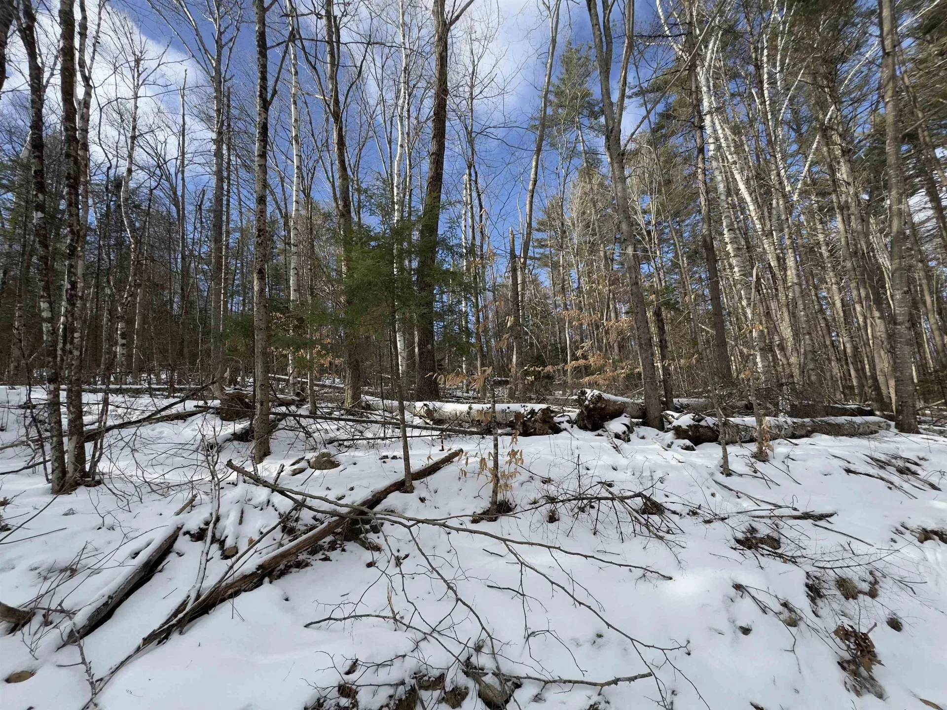 Lot 252 Skiway Terrace Haverhill NH 03765