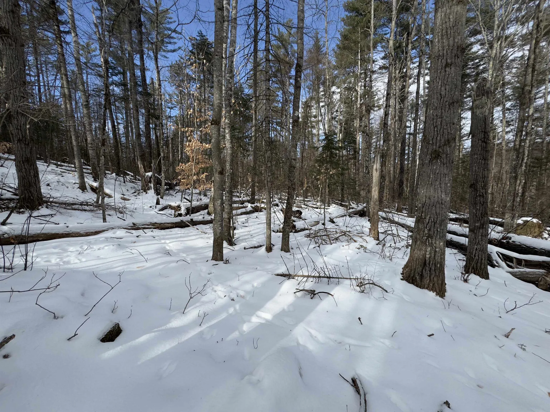 Lot 252 Skiway Terrace Haverhill NH 03765