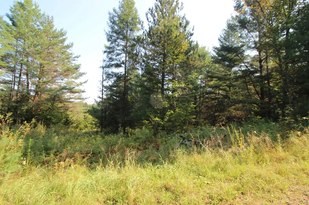 58 Warner Road Berlin VT 05641