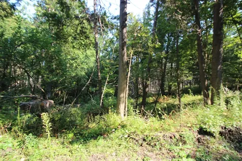 58 Warner Road Berlin VT 05641