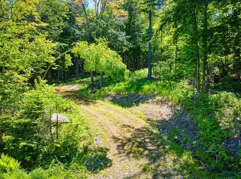983 Stoney Brook Road Springfield NH 03284