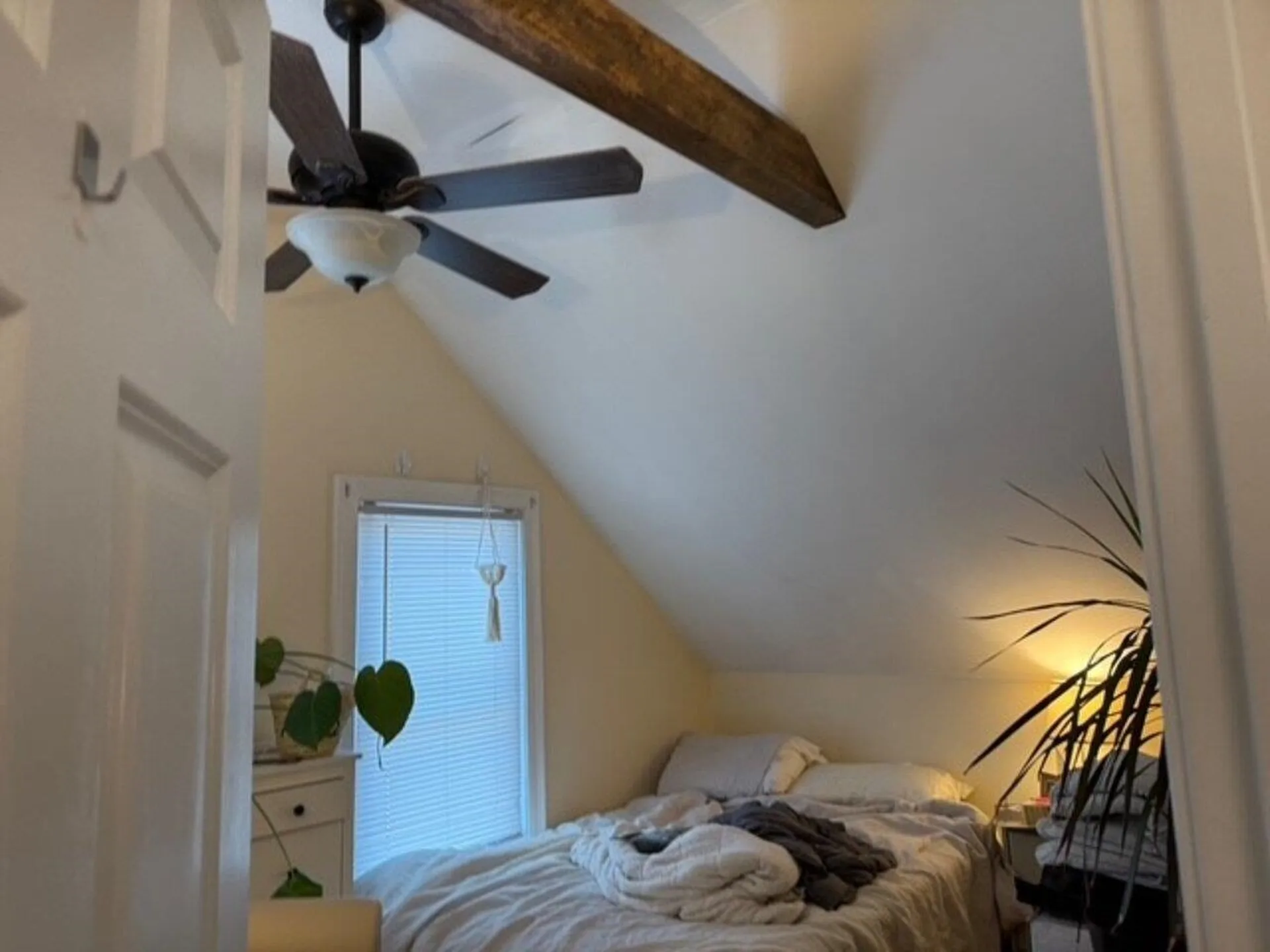 138 North Champlain Street Burlington VT 05401