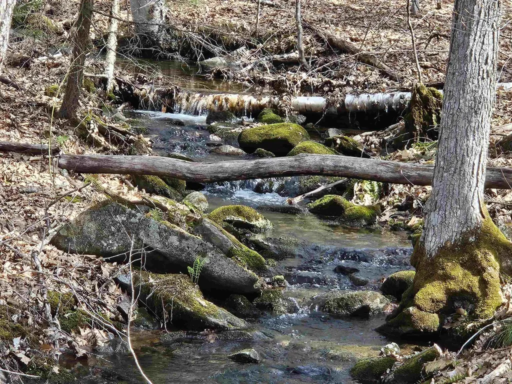 00 Hinkson Brook Road Canaan NH 03741