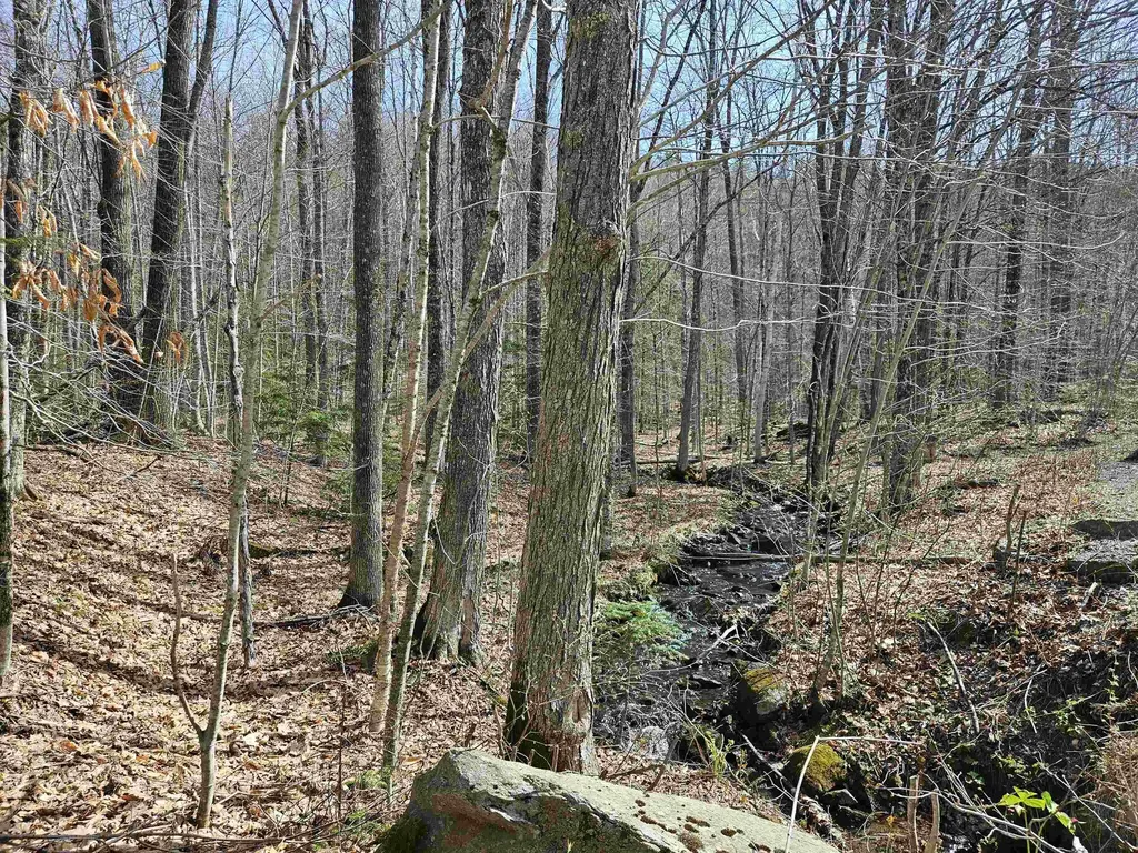 00 Hinkson Brook Road Canaan NH 03741