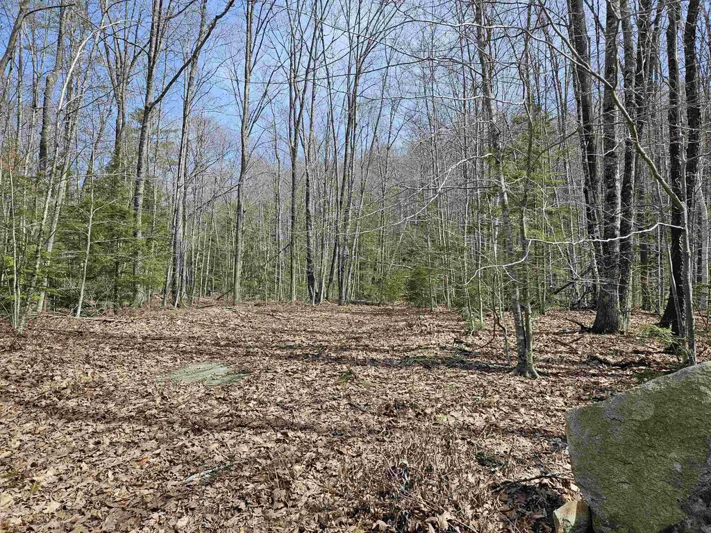 00 Hinkson Brook Road Canaan NH 03741