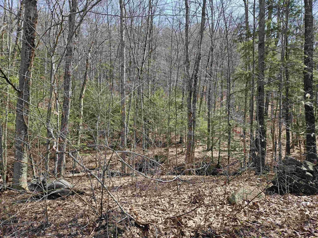 00 Hinkson Brook Road Canaan NH 03741