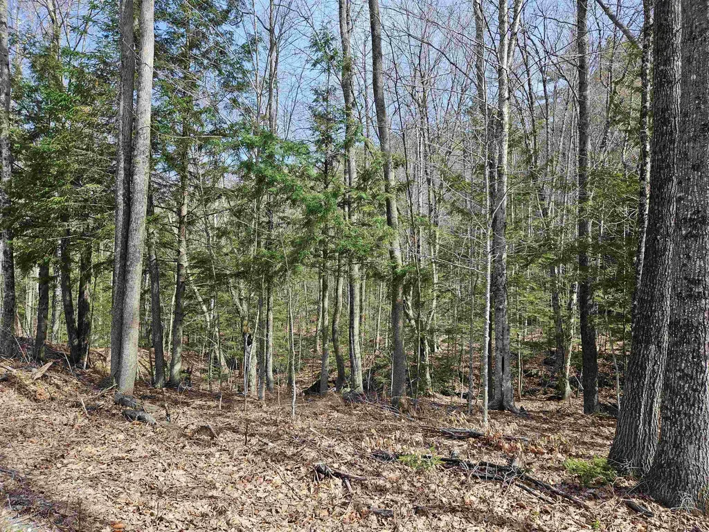 00 Hinkson Brook Road Canaan NH 03741