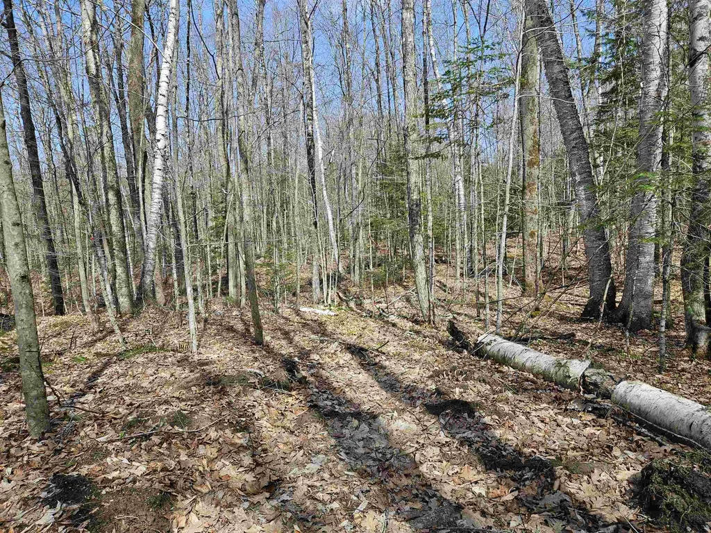 00 Hinkson Brook Road Canaan NH 03741