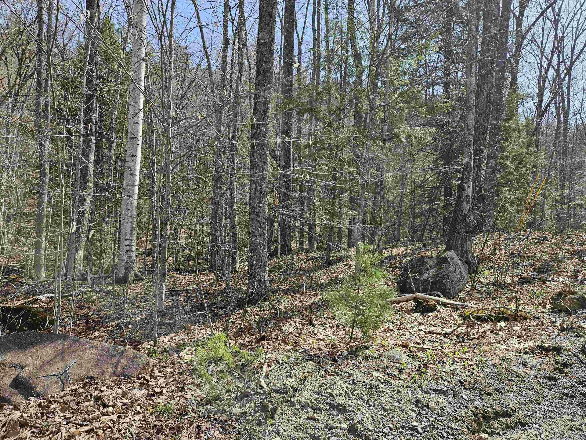 00 Hinkson Brook Road Canaan NH 03741