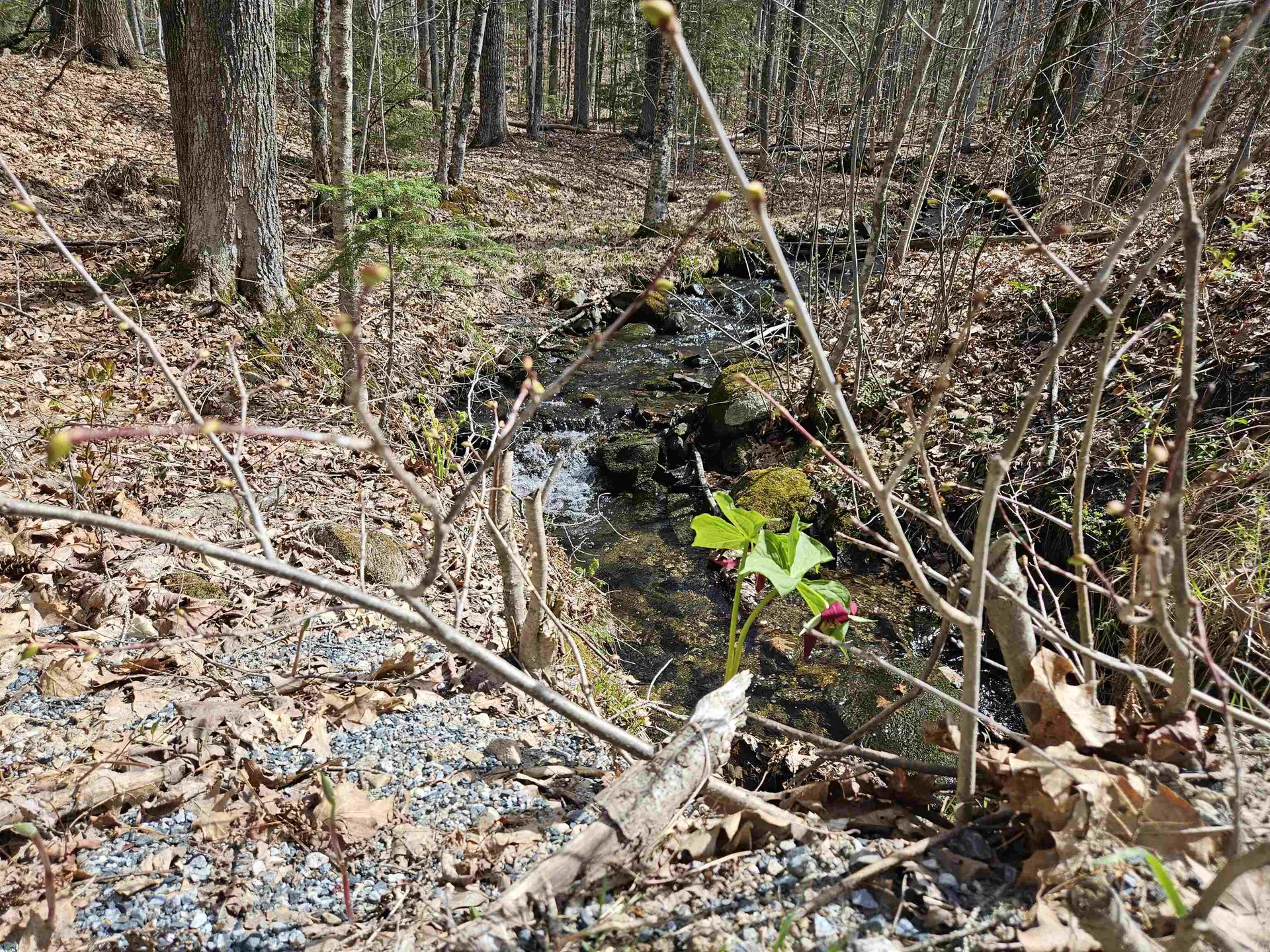 00 Hinkson Brook Road Canaan NH 03741