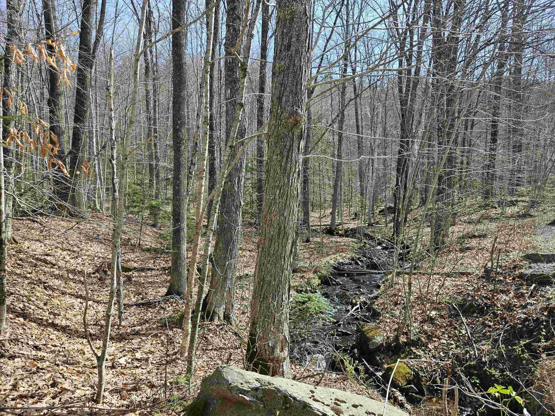 00 Hinkson Brook Road Canaan NH 03741