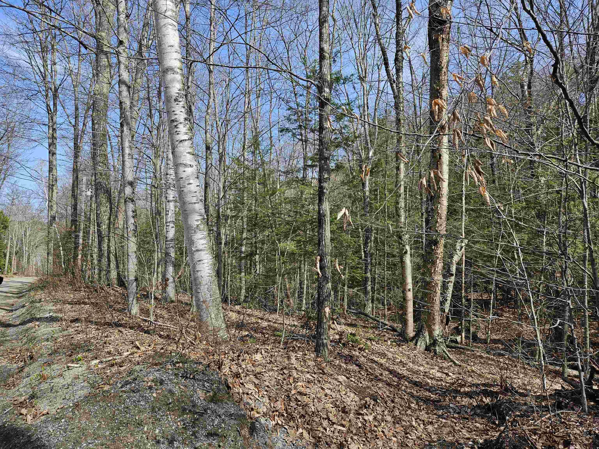 00 Hinkson Brook Road Canaan NH 03741