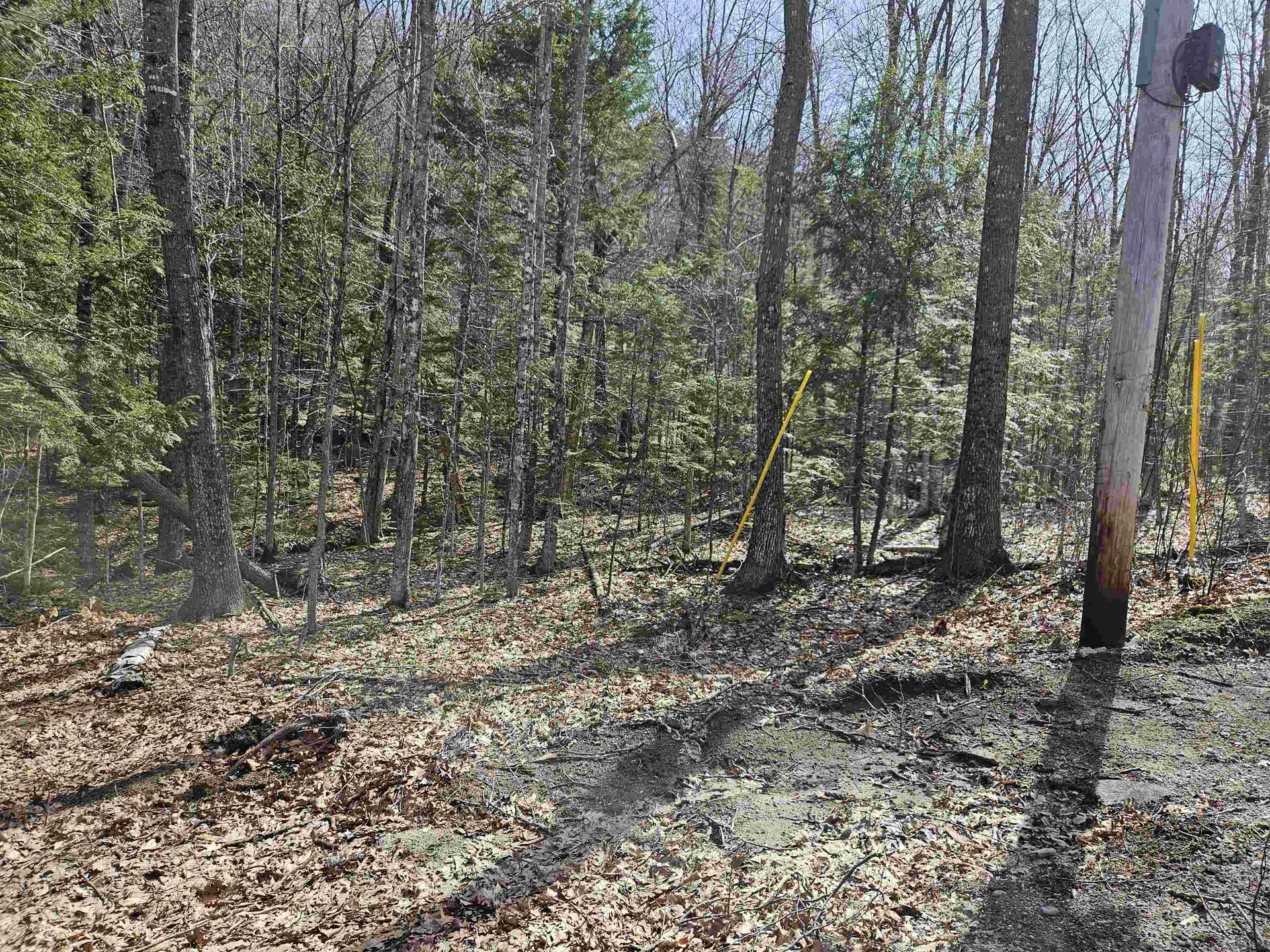 00 Hinkson Brook Road Canaan NH 03741