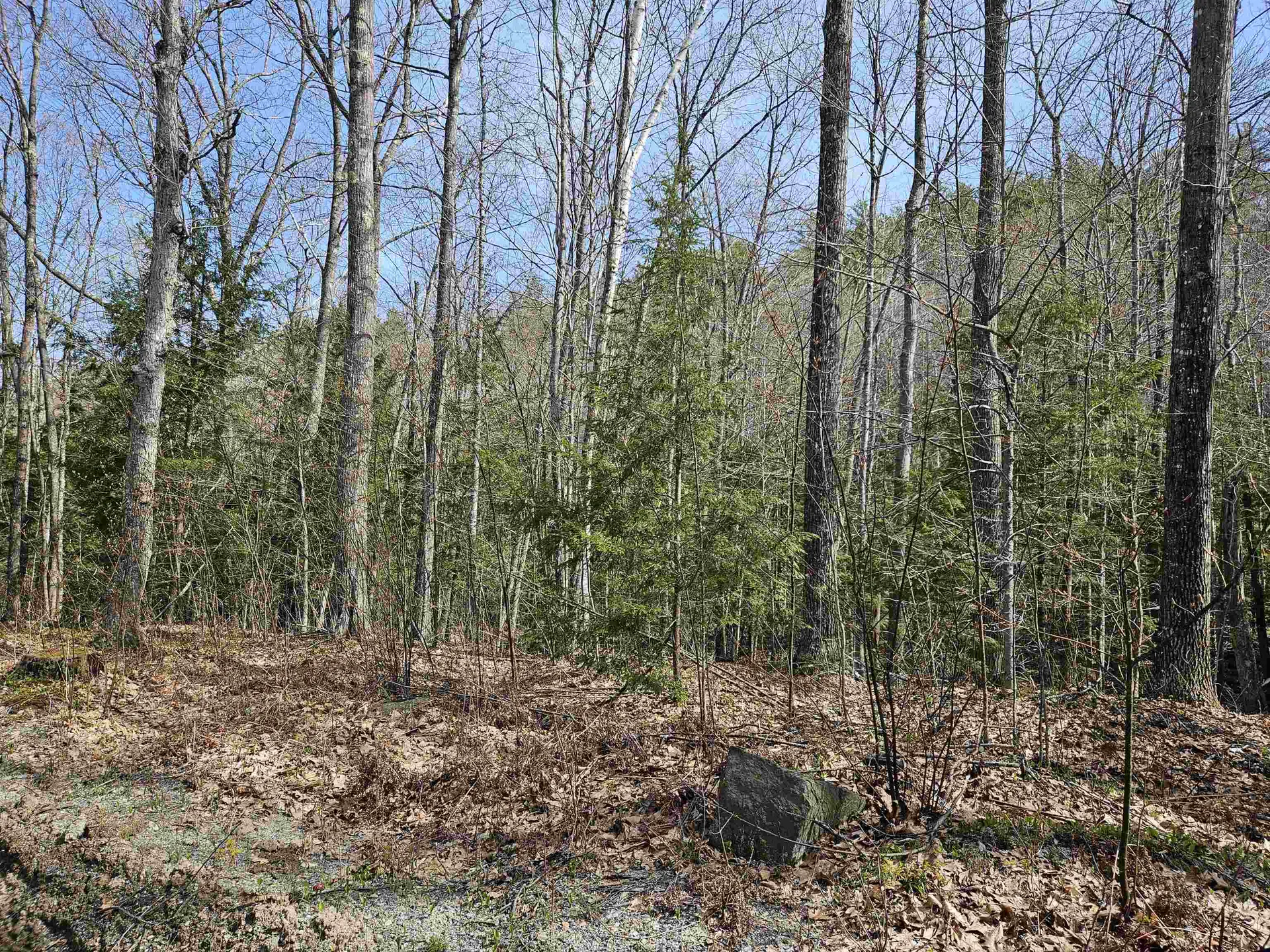 00 Hinkson Brook Road Canaan NH 03741