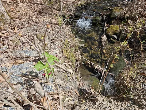 00 Hinkson Brook Road Canaan NH 03741