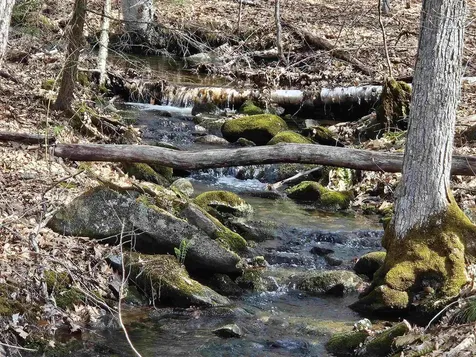 00 Hinkson Brook Road Canaan NH 03741