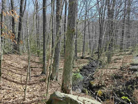 00 Hinkson Brook Road Canaan NH 03741