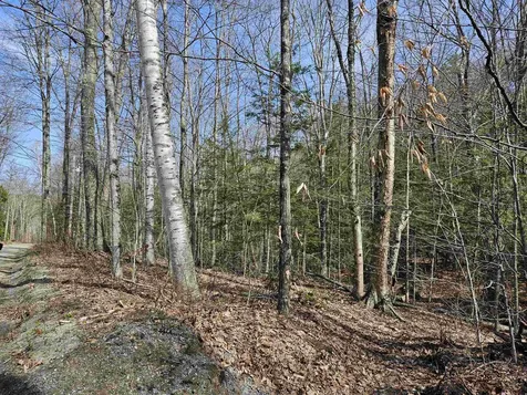 00 Hinkson Brook Road Canaan NH 03741