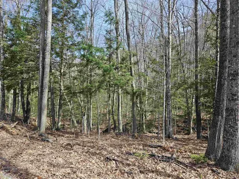 00 Hinkson Brook Road Canaan NH 03741