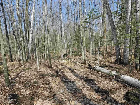 00 Hinkson Brook Road Canaan NH 03741