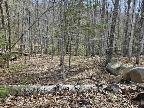 00 Hinkson Brook Road Canaan NH 03741