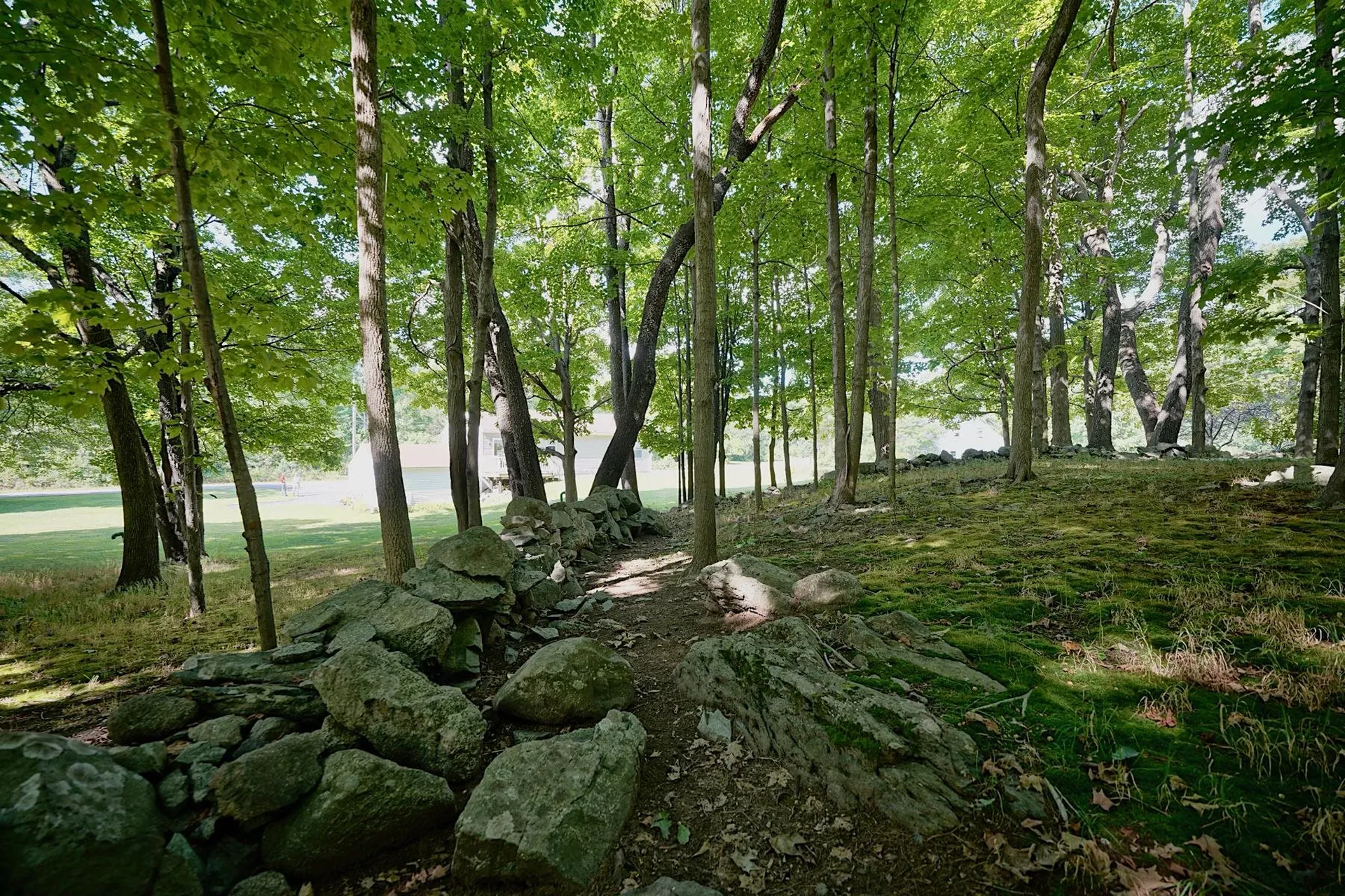 131 Walnut Avenue North Hampton NH 03862