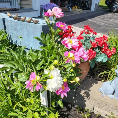 57 Carol Court Laconia NH 03246