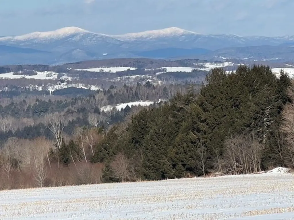389 Young Road Williamstown VT 05679