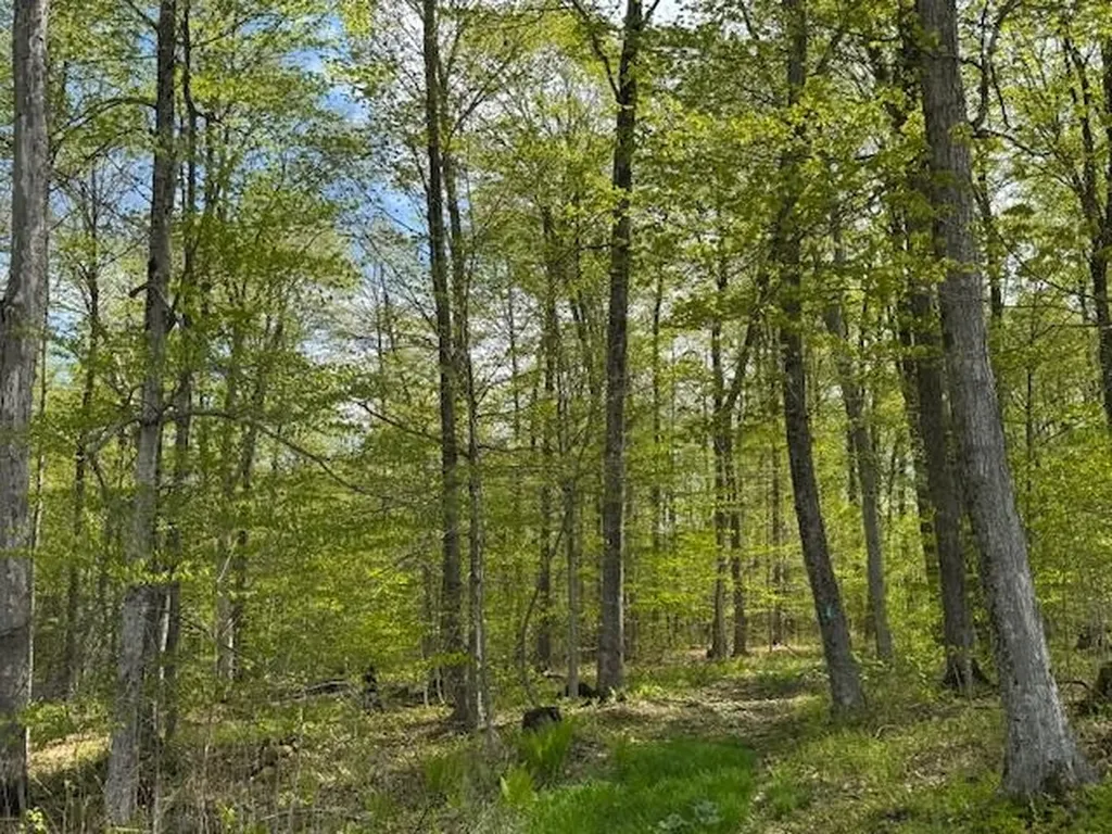 389 Young Road Williamstown VT 05679