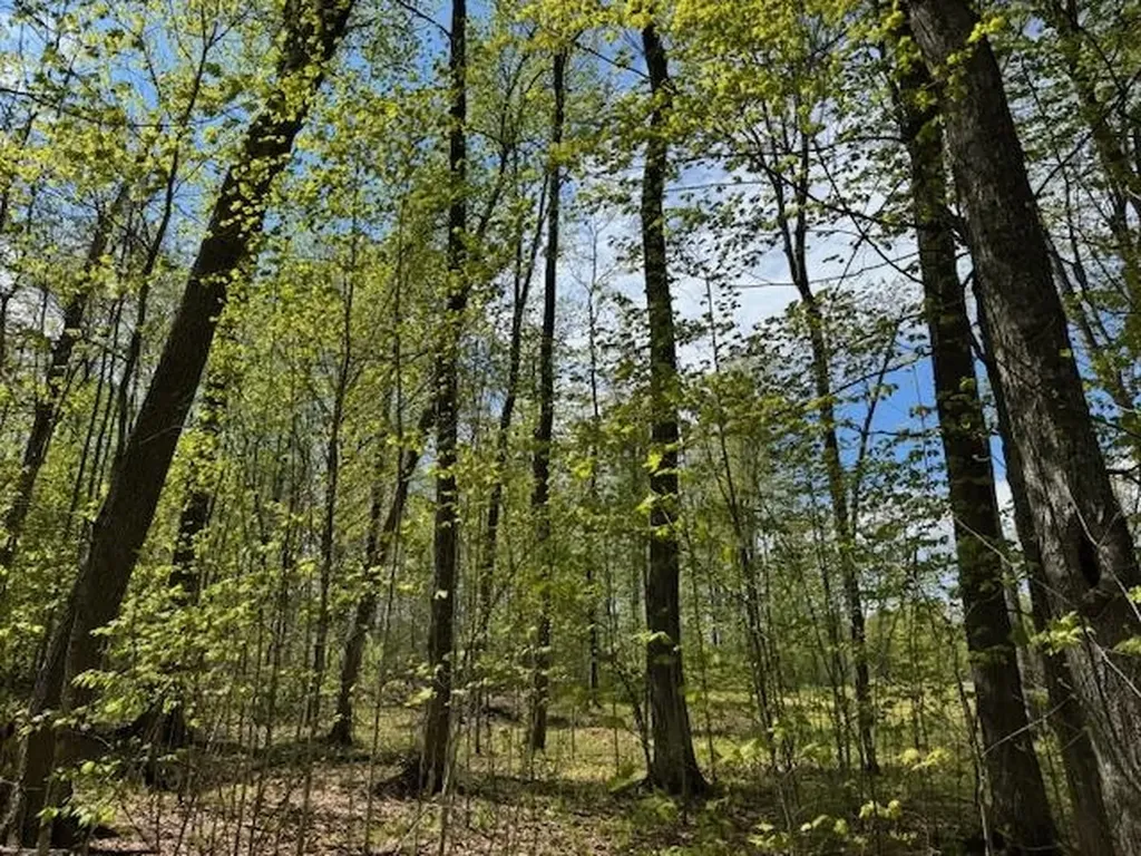 389 Young Road Williamstown VT 05679