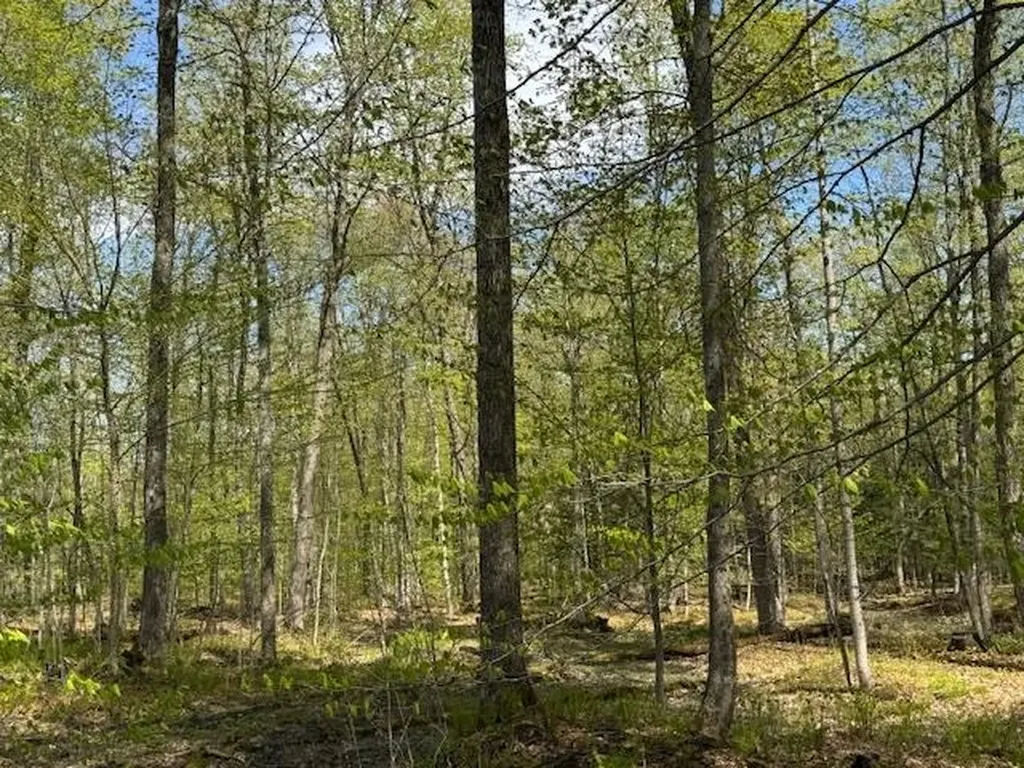 389 Young Road Williamstown VT 05679