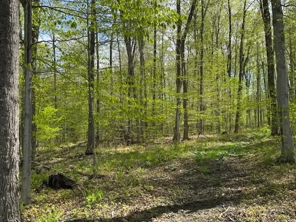 389 Young Road Williamstown VT 05679