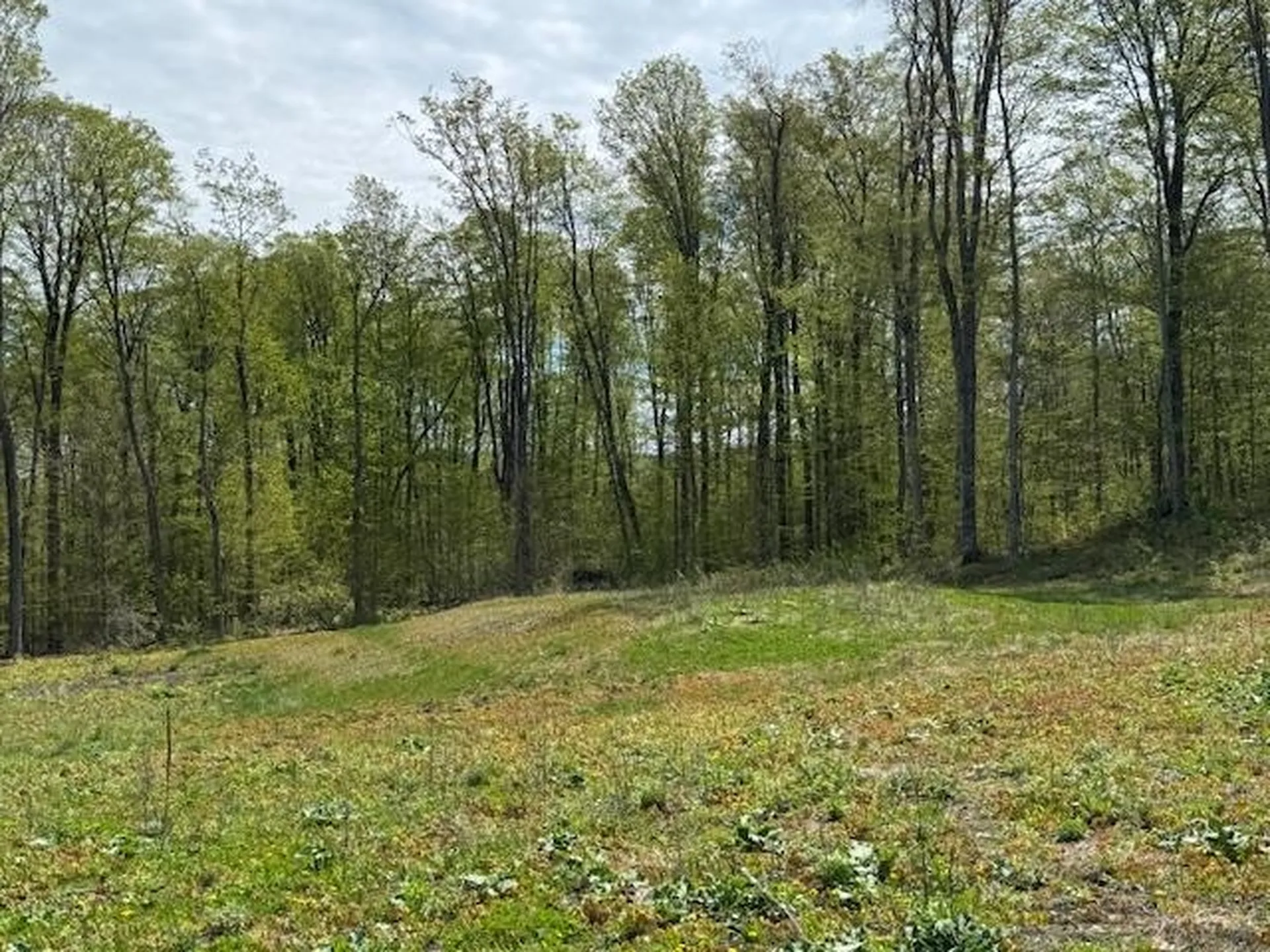 389 Young Road Williamstown VT 05679