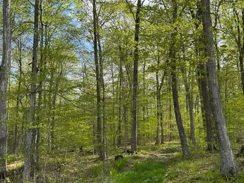 389 Young Road Williamstown VT 05679