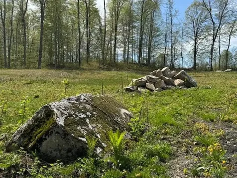 389 Young Road Williamstown VT 05679