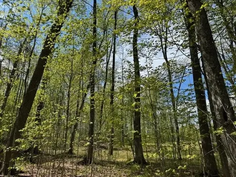 389 Young Road Williamstown VT 05679