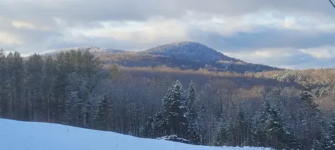1304 Route 100 Readsboro VT 05350