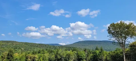 1304 Route 100 Readsboro VT 05350