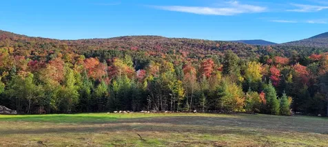 1304 Route 100 Readsboro VT 05350