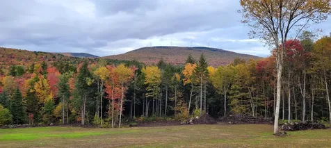 1304 Route 100 Readsboro VT 05350