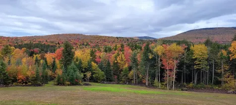 1304 Route 100 Readsboro VT 05350