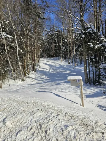 1304 Route 100 Readsboro VT 05350