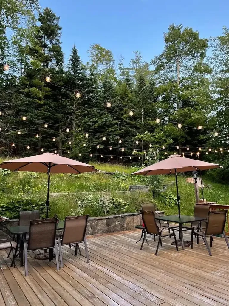 45 Dorr Fitch Road Dover VT 05356