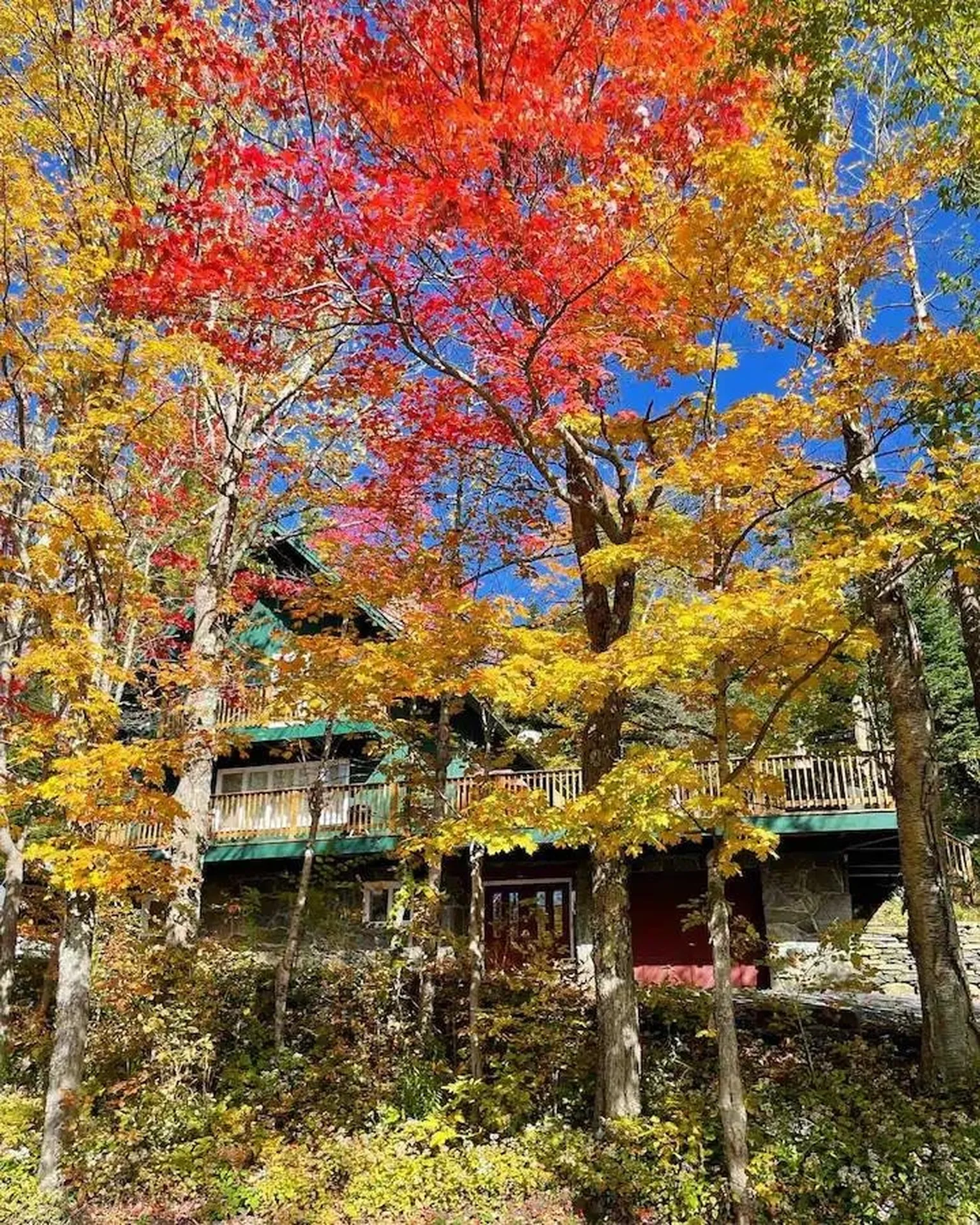 45 Dorr Fitch Road Dover VT 05356