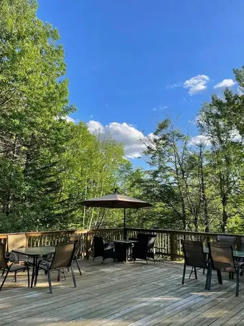 45 Dorr Fitch Road Dover VT 05356