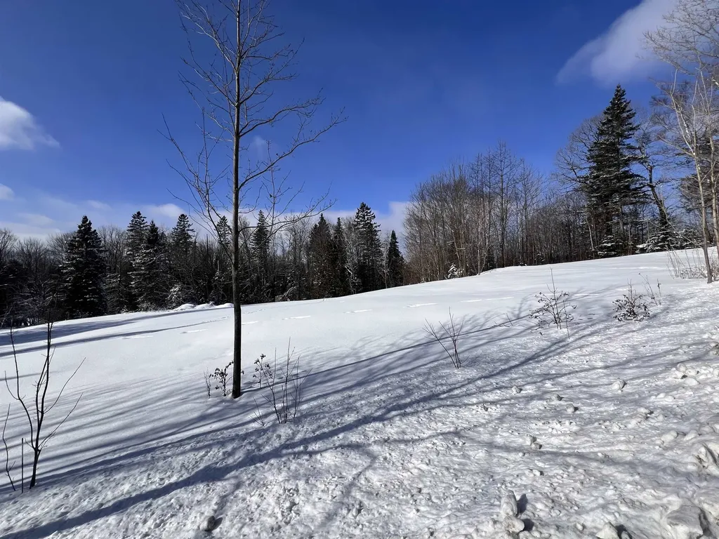 278 Mosher Road Sheffield VT 05866