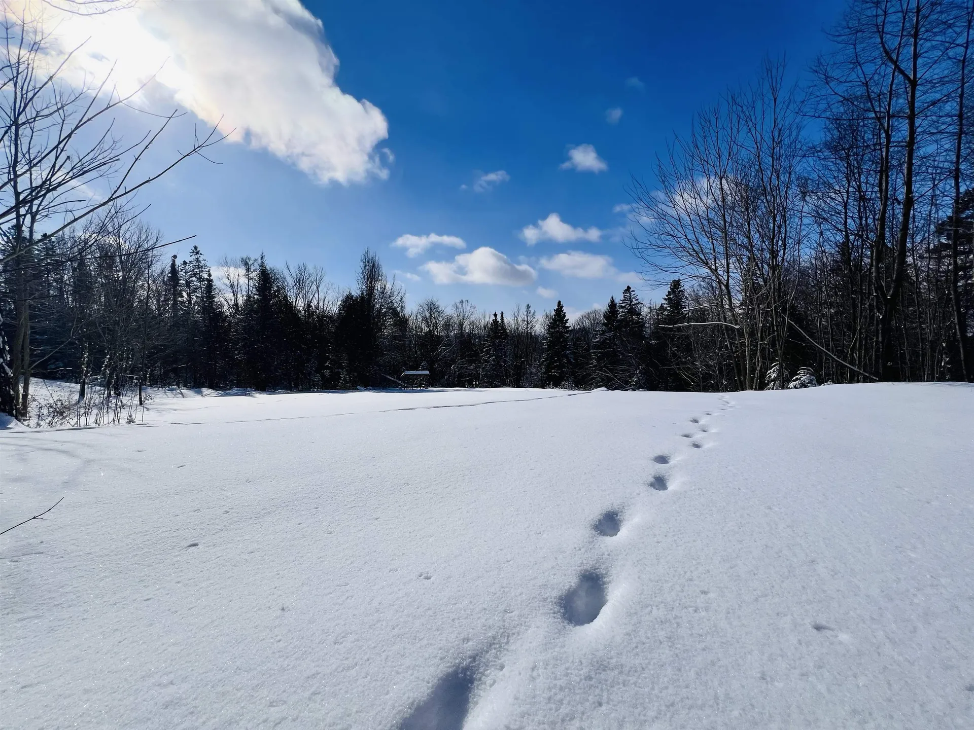 278 Mosher Road Sheffield VT 05866